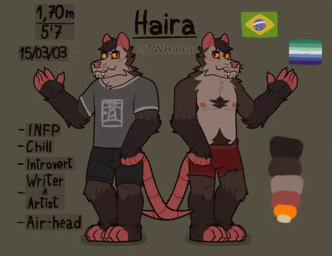 A ref sheet of my sona