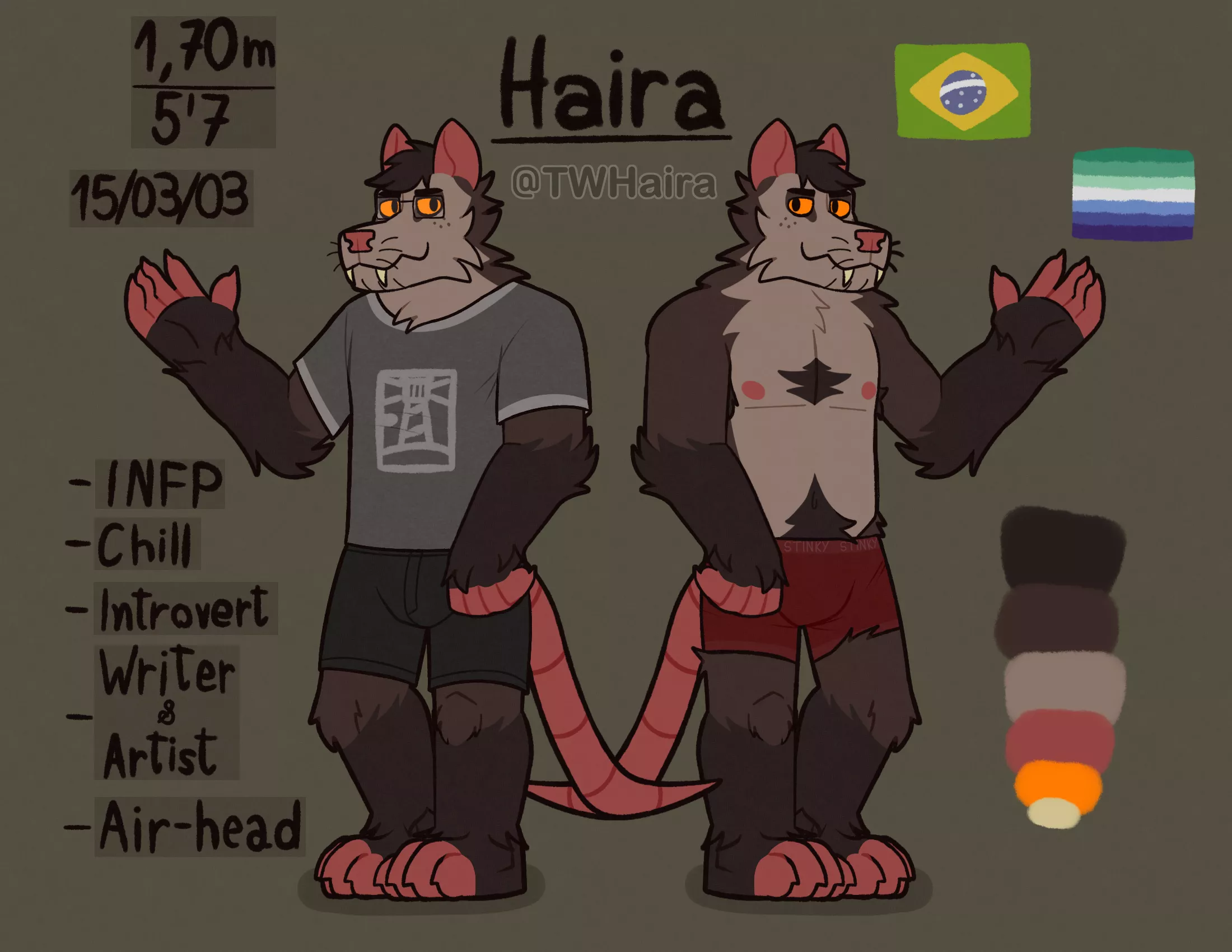 A ref sheet of my sona