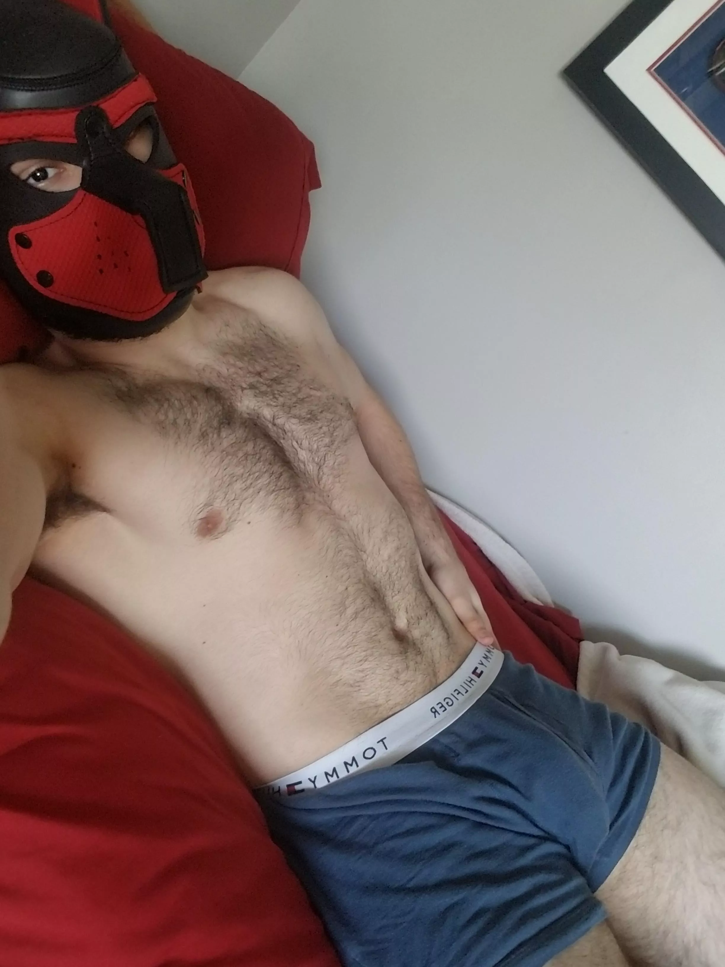 Any pups volunteer to come lay on my chest 🐺
