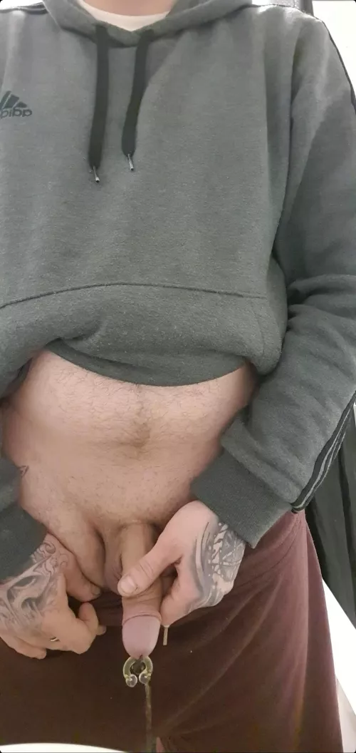 Anyone willing to have my big floppy pierced cock piss all over them?