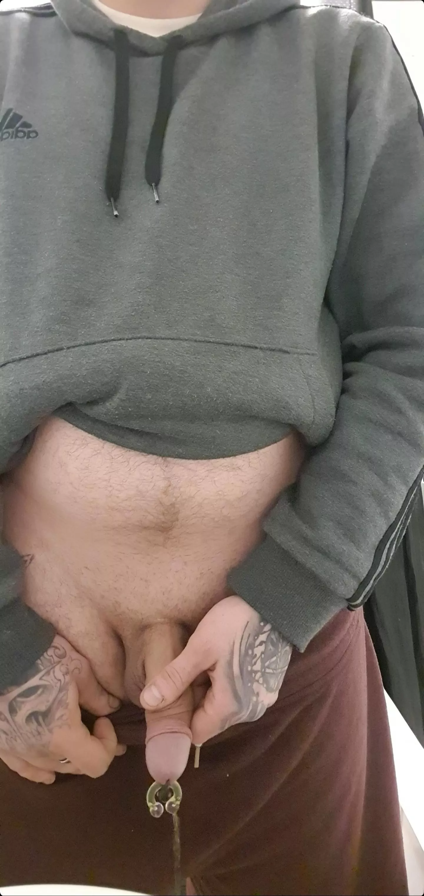 Anyone willing to have my big floppy pierced cock piss all over them?