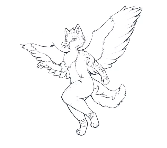 Gryphon! Wings are so fun to sketch