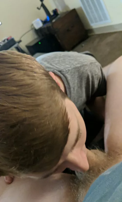 i love sucking a cock with a face full of pubes. link in bio for the video ;)