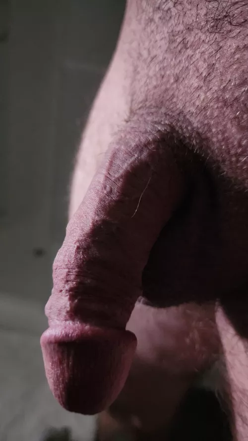 Long time listener, first time caller