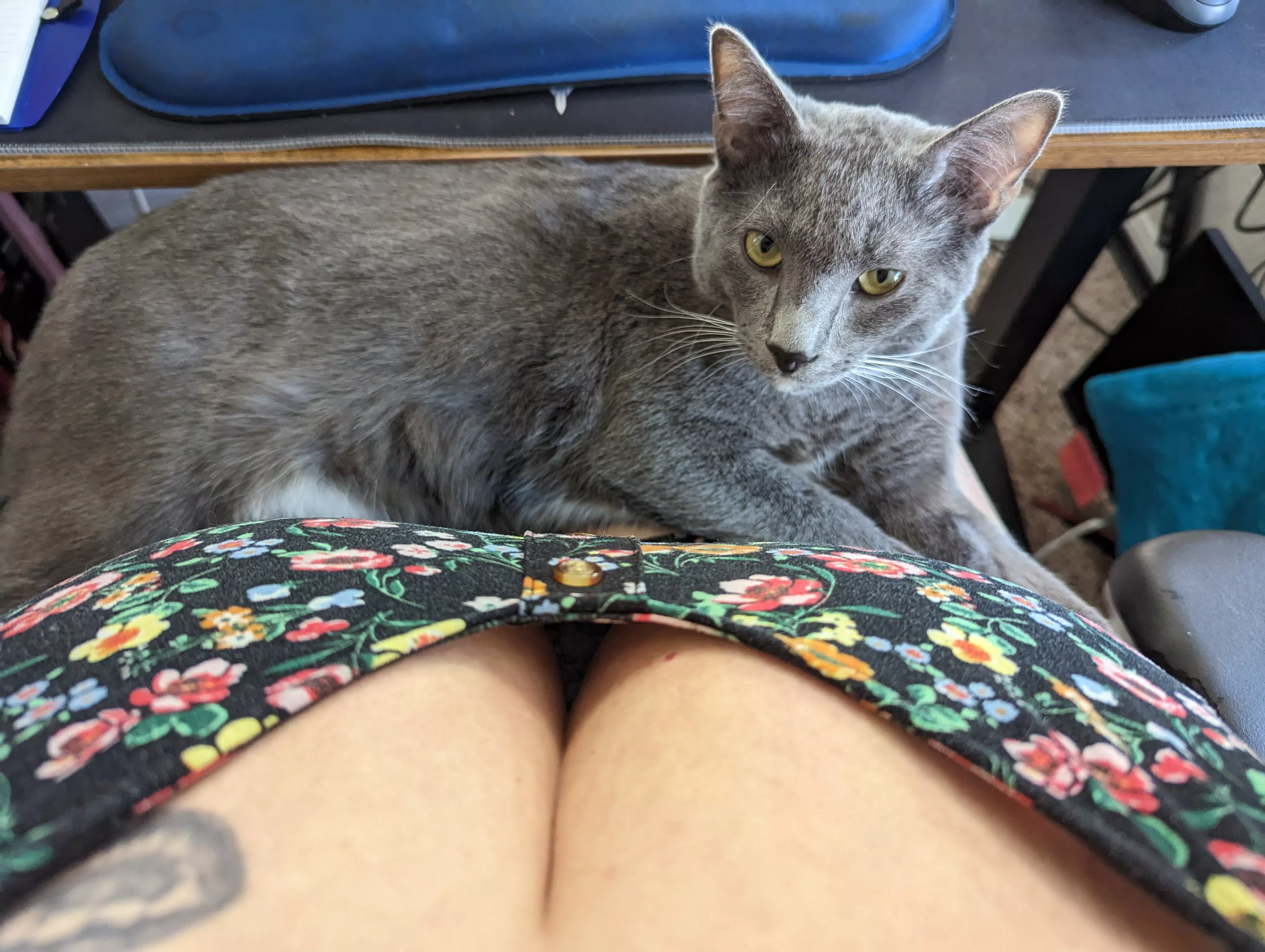 My son is very jealous and territorial!