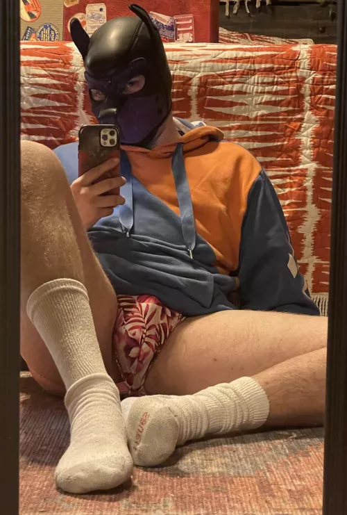 Thank you to all the pups!