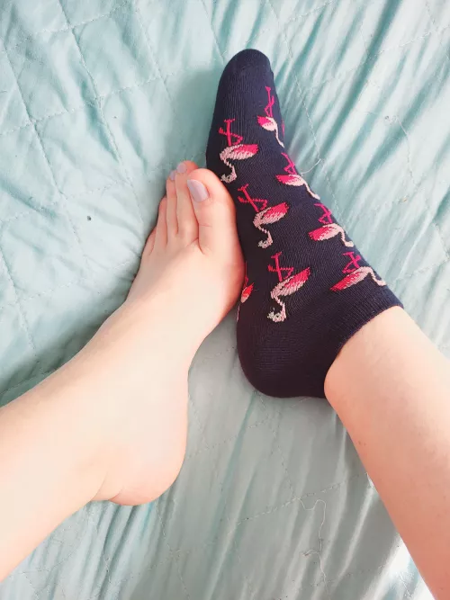 Wanna sniff my birdie? (OC)