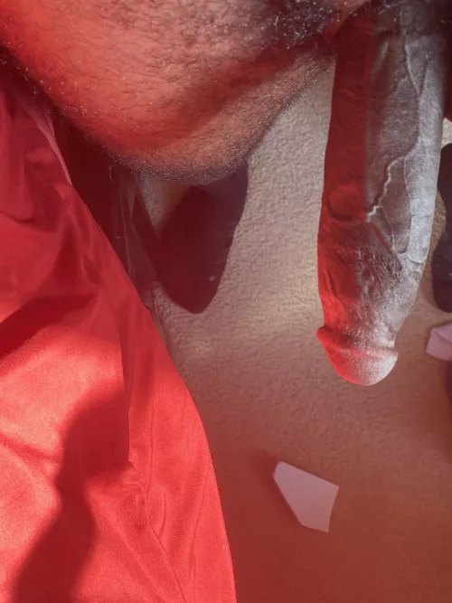 When I wake up that pussy is getting fucked creamy and bred. You understand me?