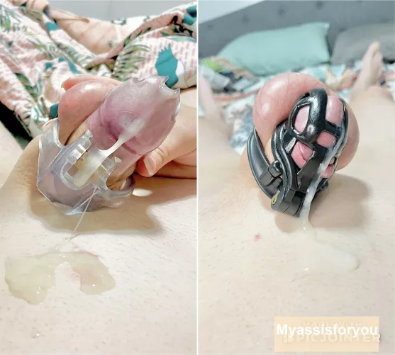 Which cage do you guys prefer?