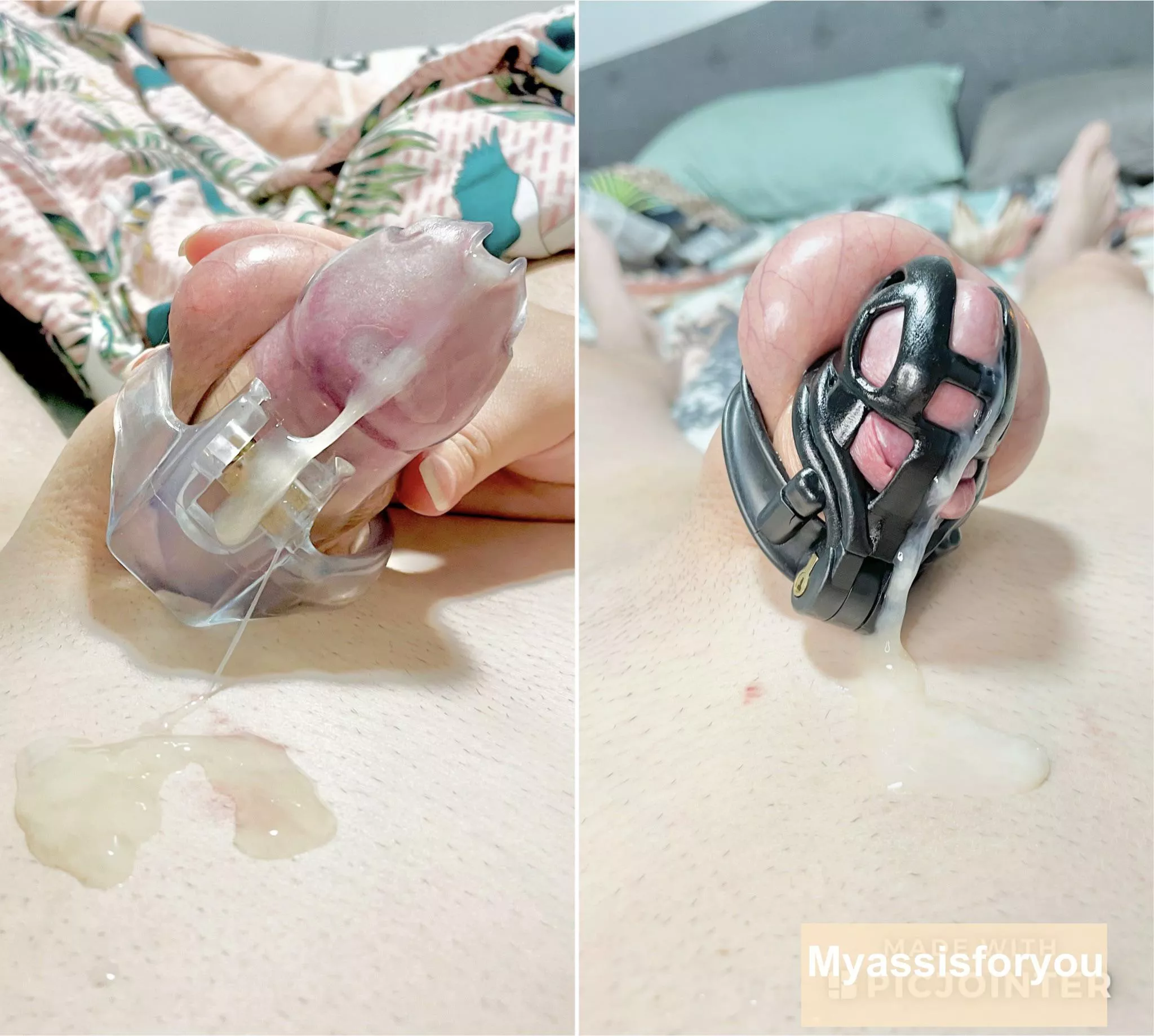 Which cage do you guys prefer?