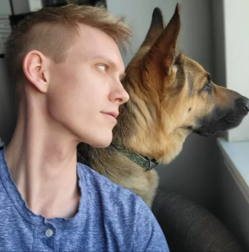 Who let the dogs out?