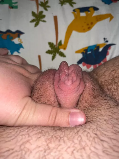 Cute pumped ftm pussy up for grabs 🥵