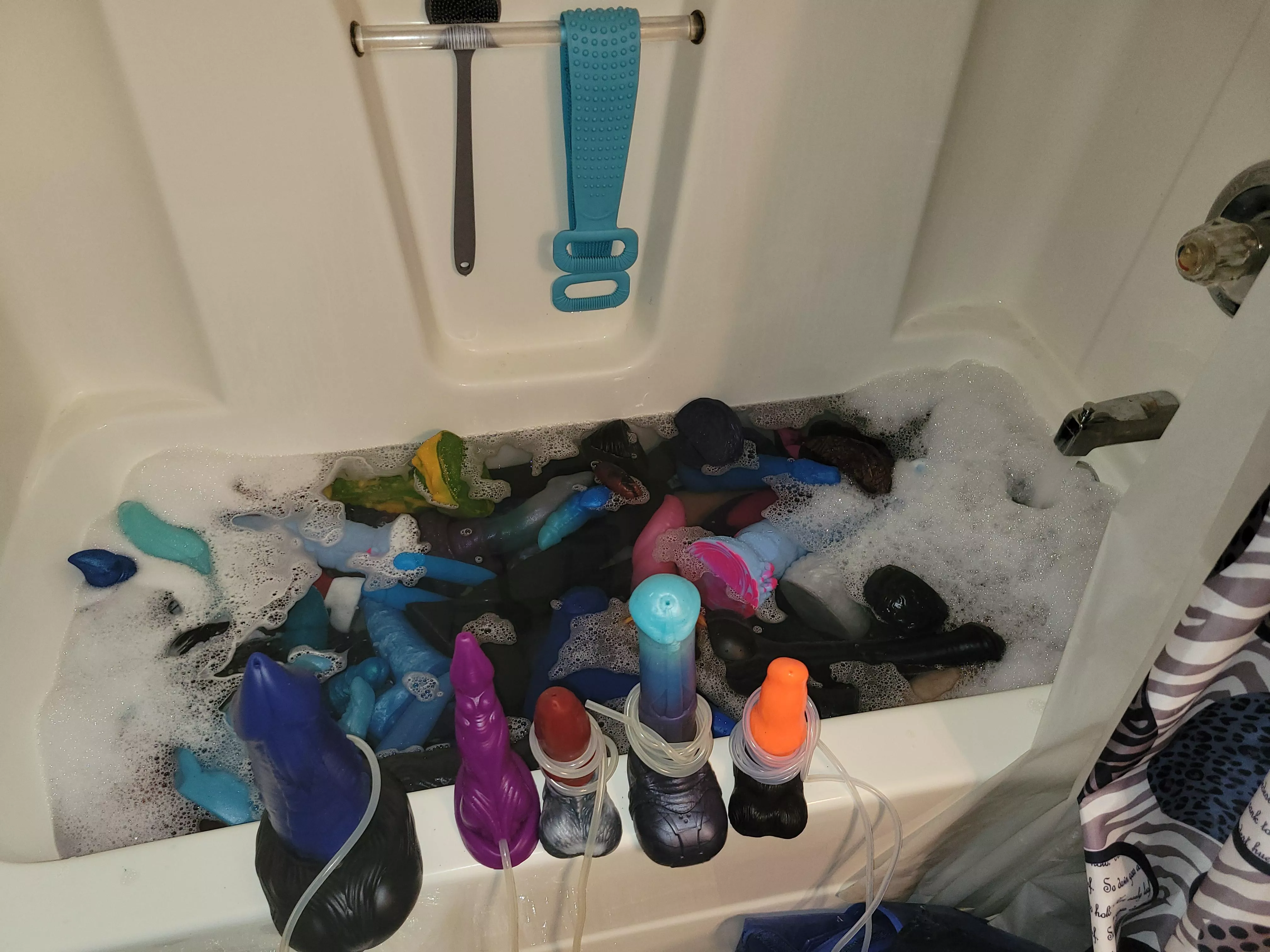 Dicks have taken over my tub, need help!
