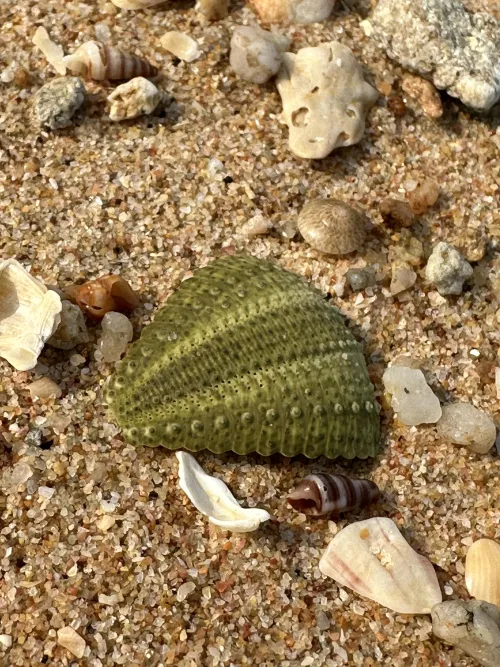 Does anyone know what this is?