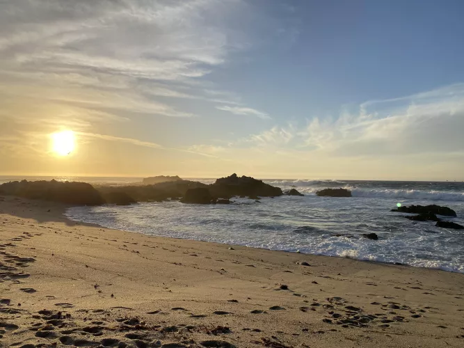 Gotta love California😍