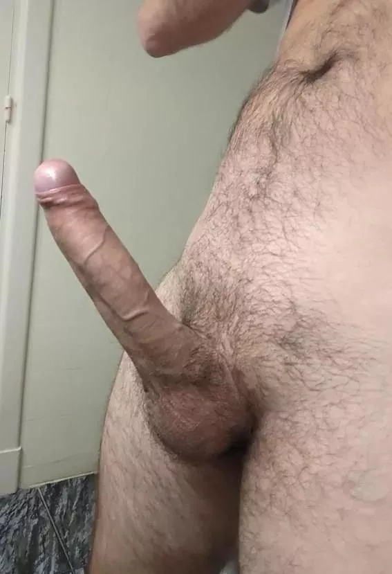 Hi! Showing off my dick again here. Should I get back to posting?