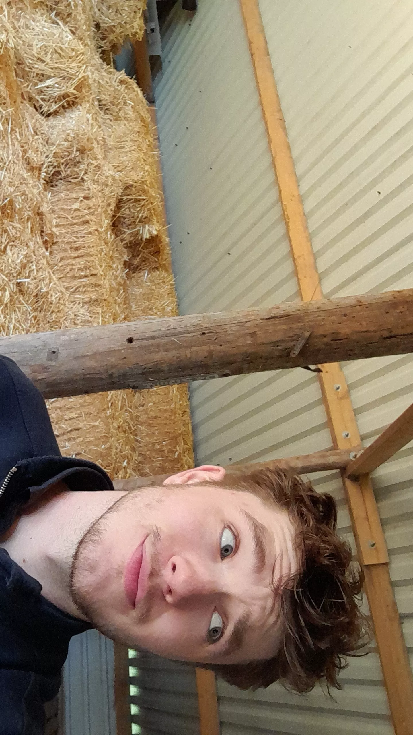 Hiding from all the people on the farm so I can blast music π Hiding from all the people on the farm so I can blast music π