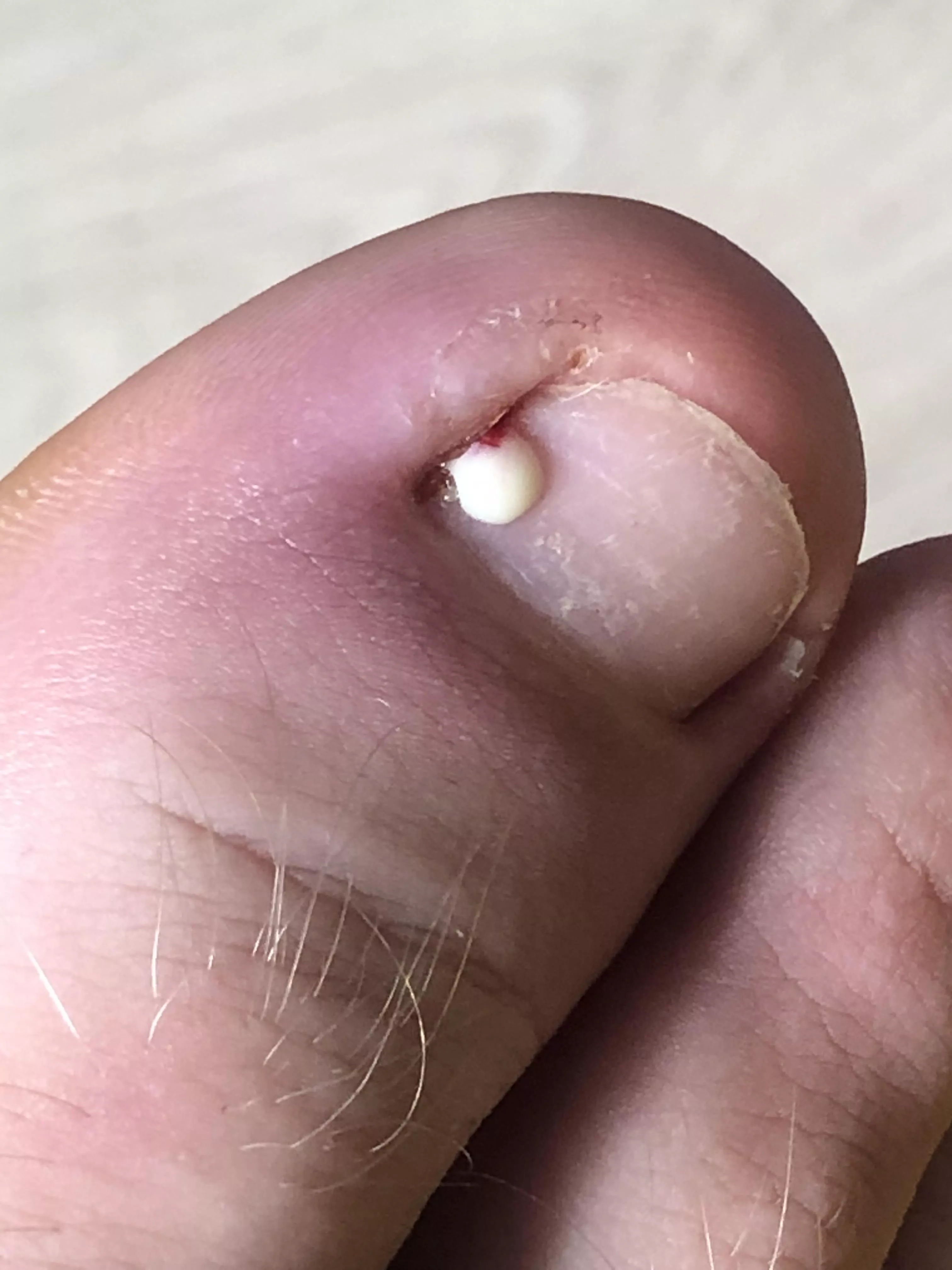 It popped super fast I didnt expect it