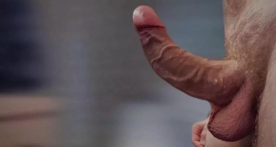 Might cum in you, who knows🤷🏻‍♂️