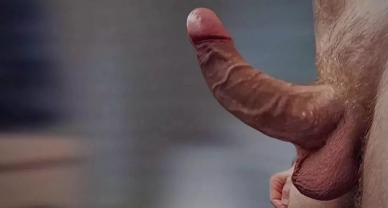 Might cum in you, who knows🤷🏻‍♂️