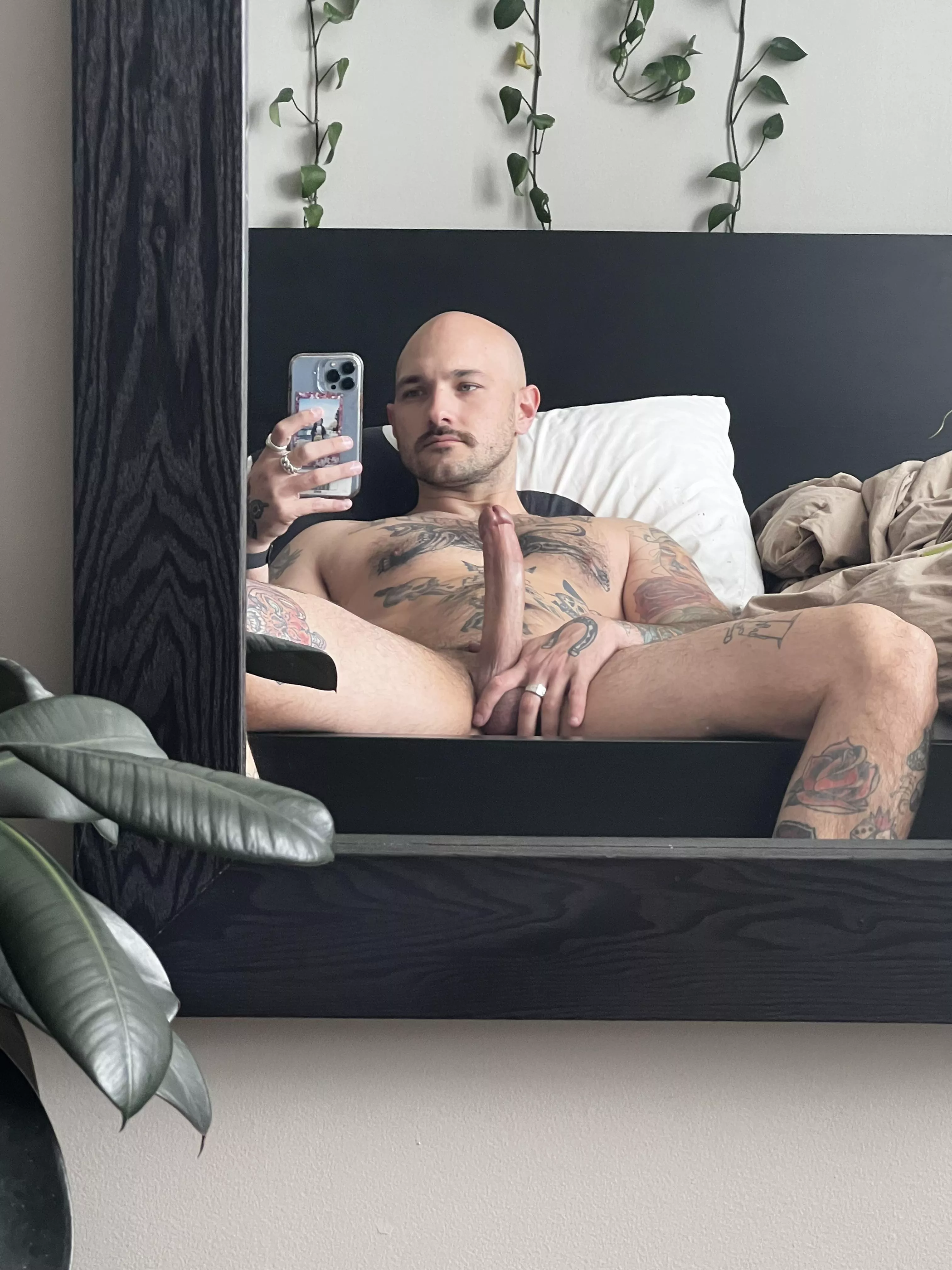 Spring Has Sprung 😇