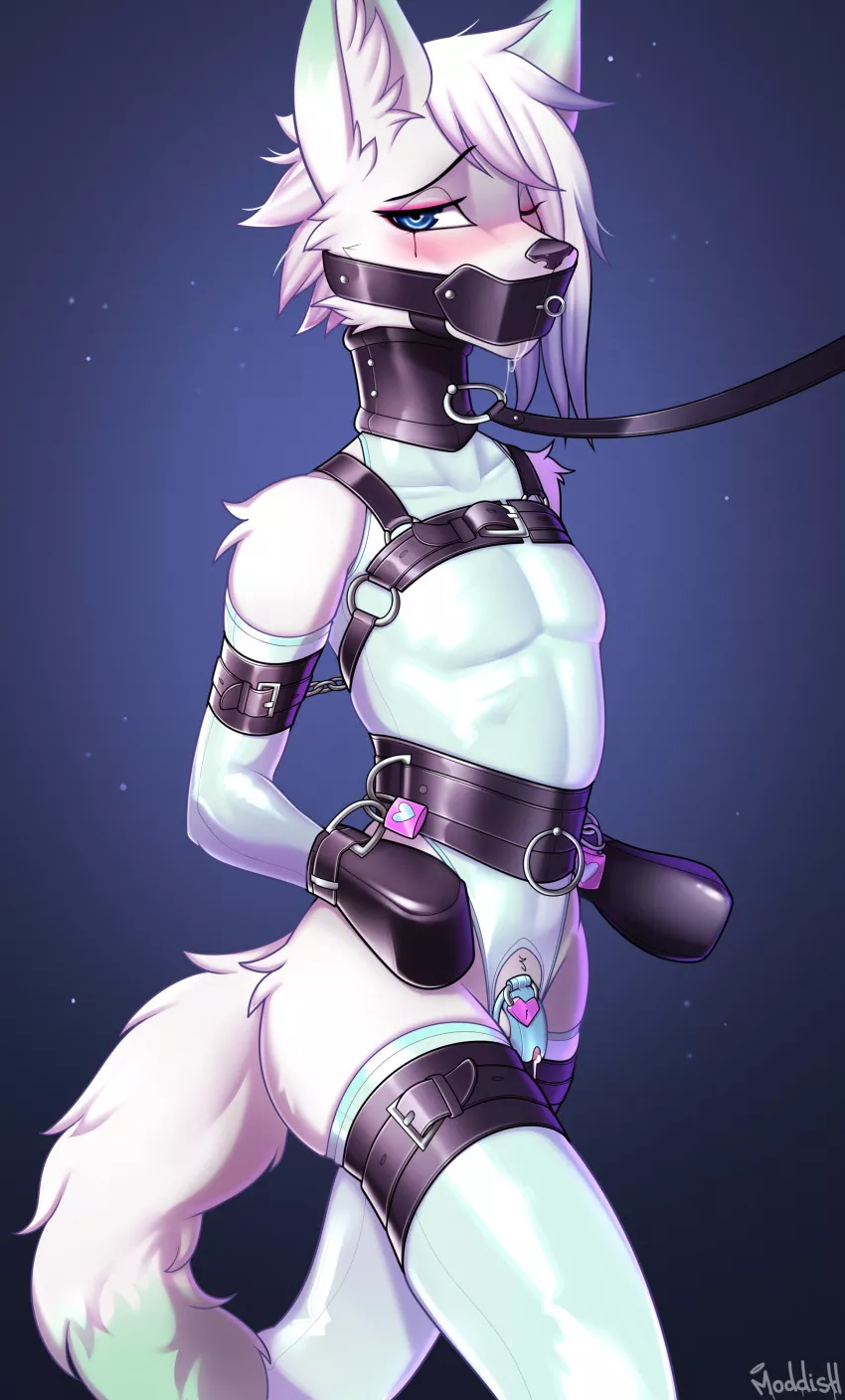 The correct way and clothes for a slut (Moddish)