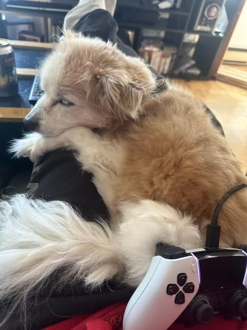 This is how I chill