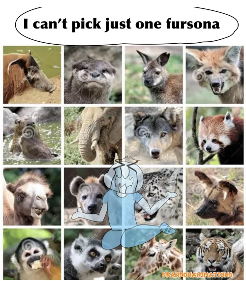 wanna be a shark, but I also wanna be a goat, a deer, a fox, a husky, a bunny & a cat 🥺