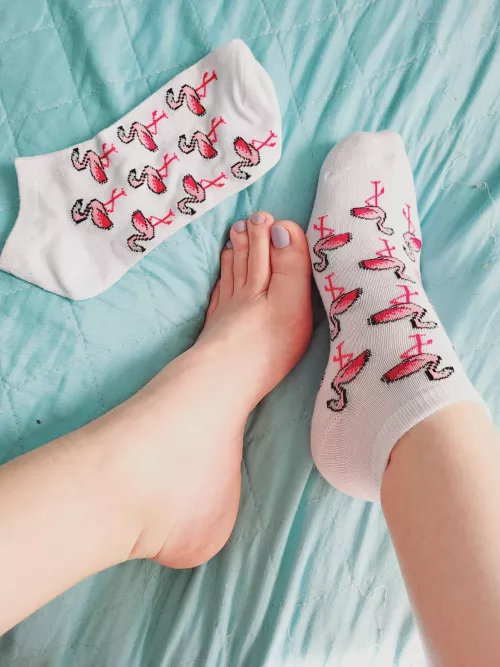 Wanna sniff my birdies? (OC)