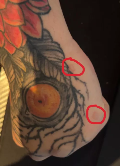 350F bacon grease makes forbidden pops