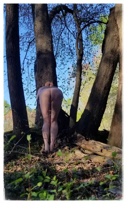 A little Game of Hide and Seek