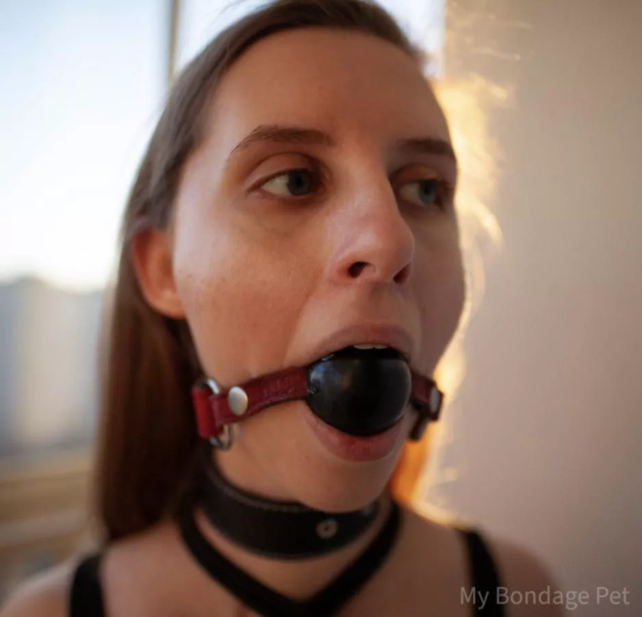 BDSM Film Studio “My Bondage Pet” Presents - [ MyBondagePet.com ]