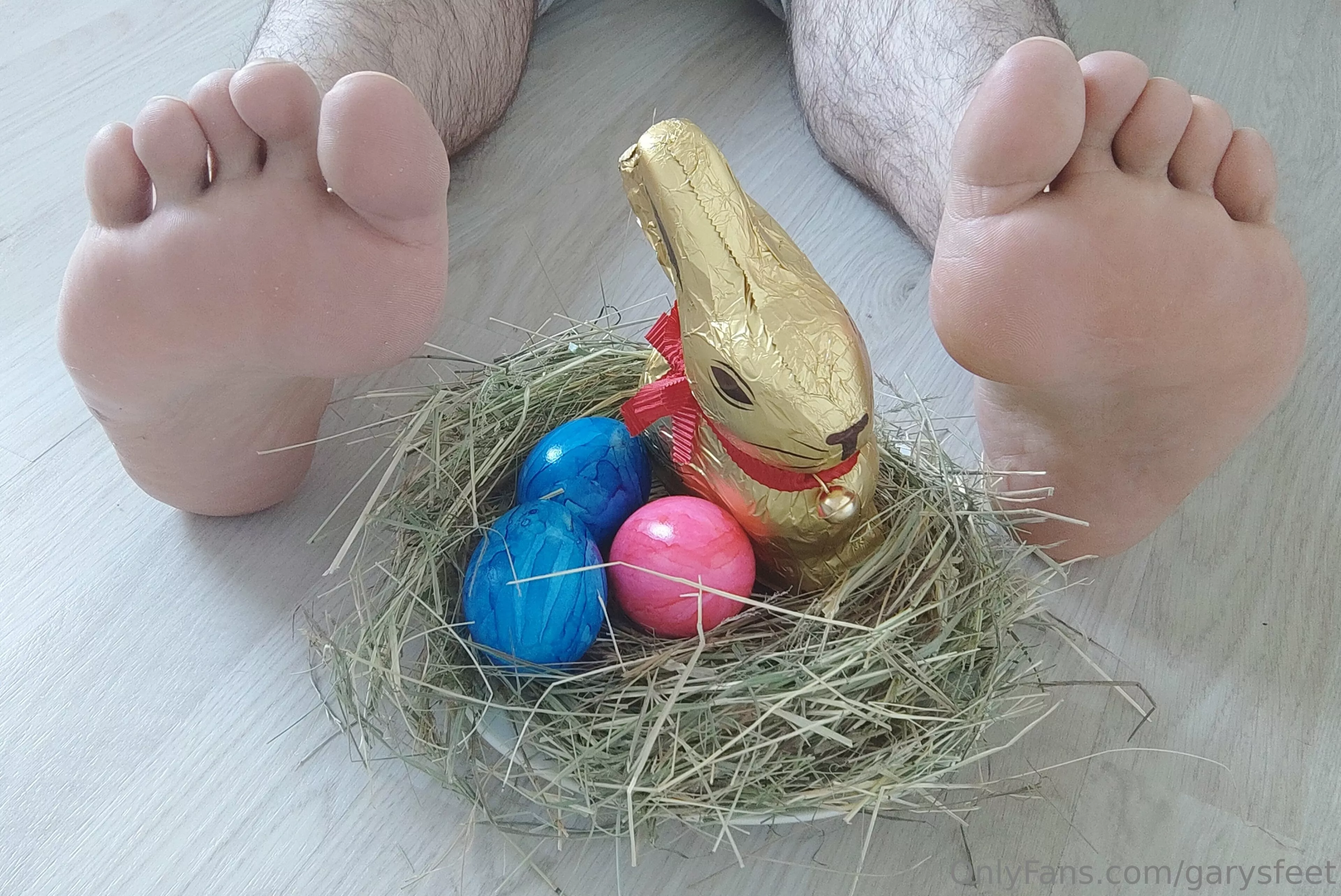 Bunny 🐰 eggs 🥚 and feet 👣 [OC]
