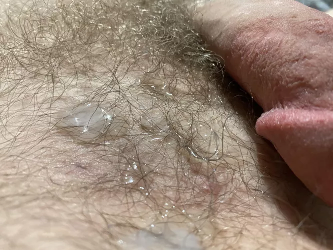cut dick covered in cum