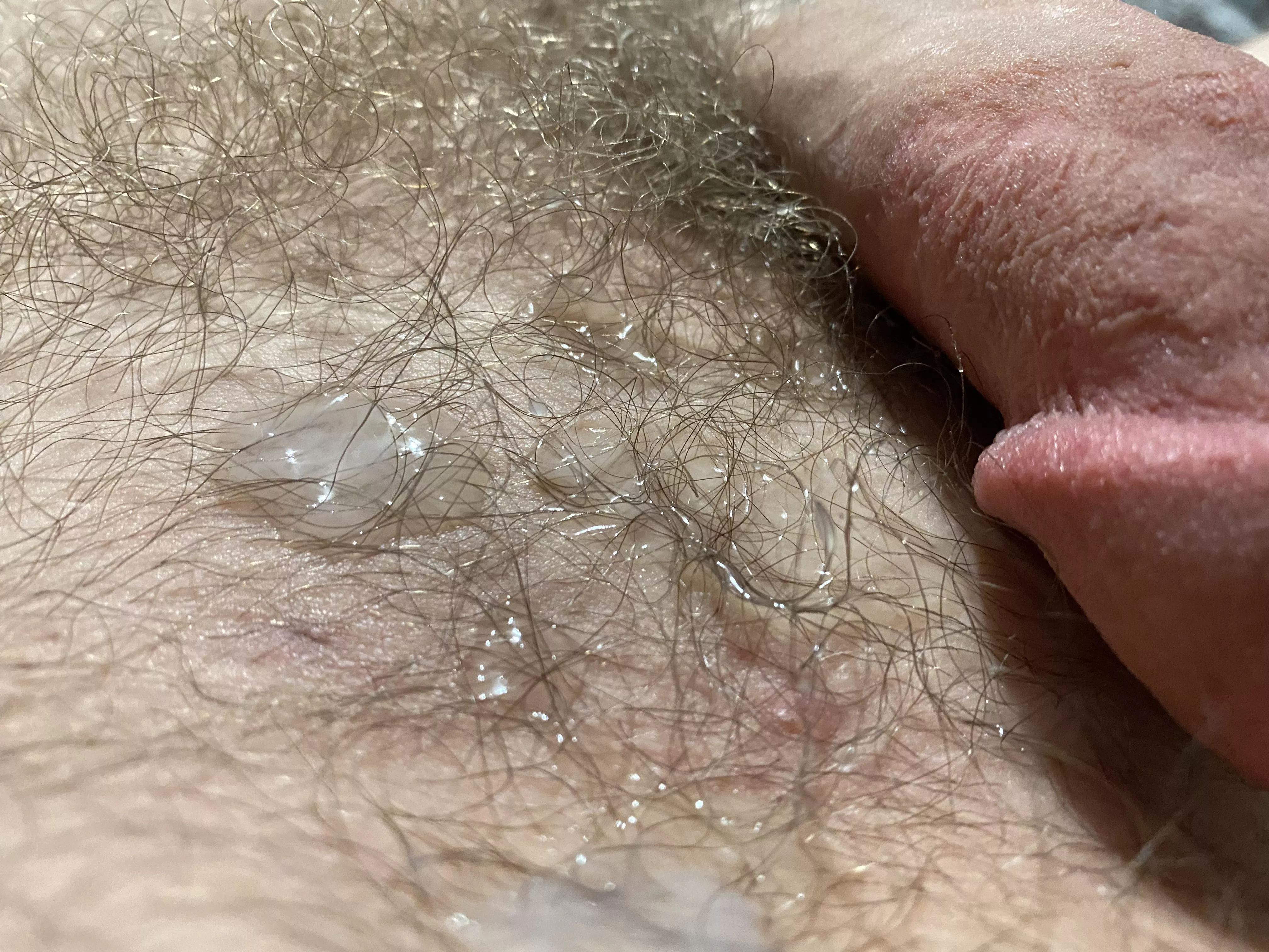 cut dick covered in cum