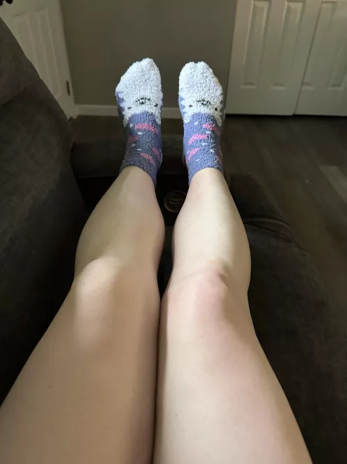 Cute llama socks 💜