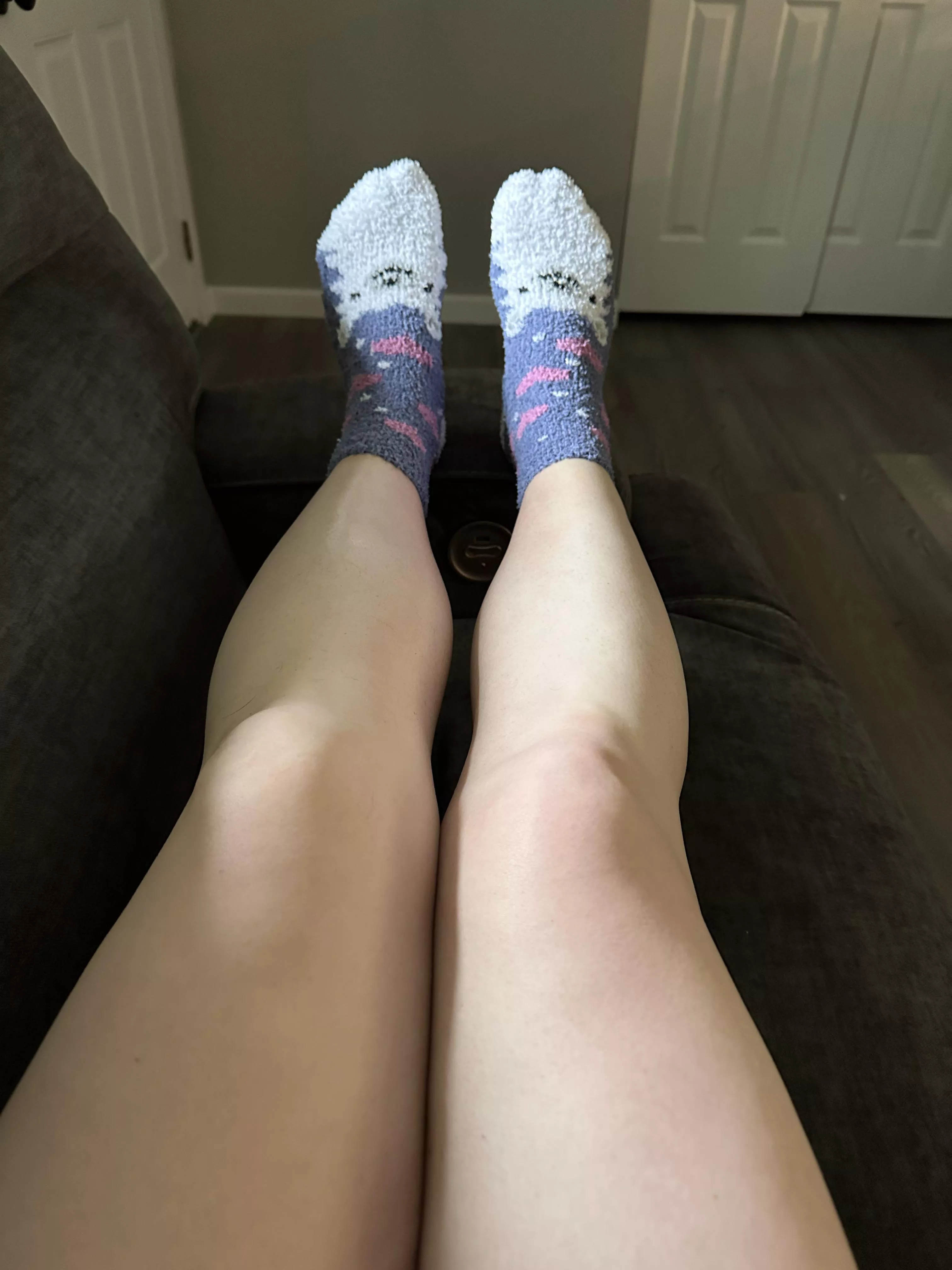 Cute llama socks 💜