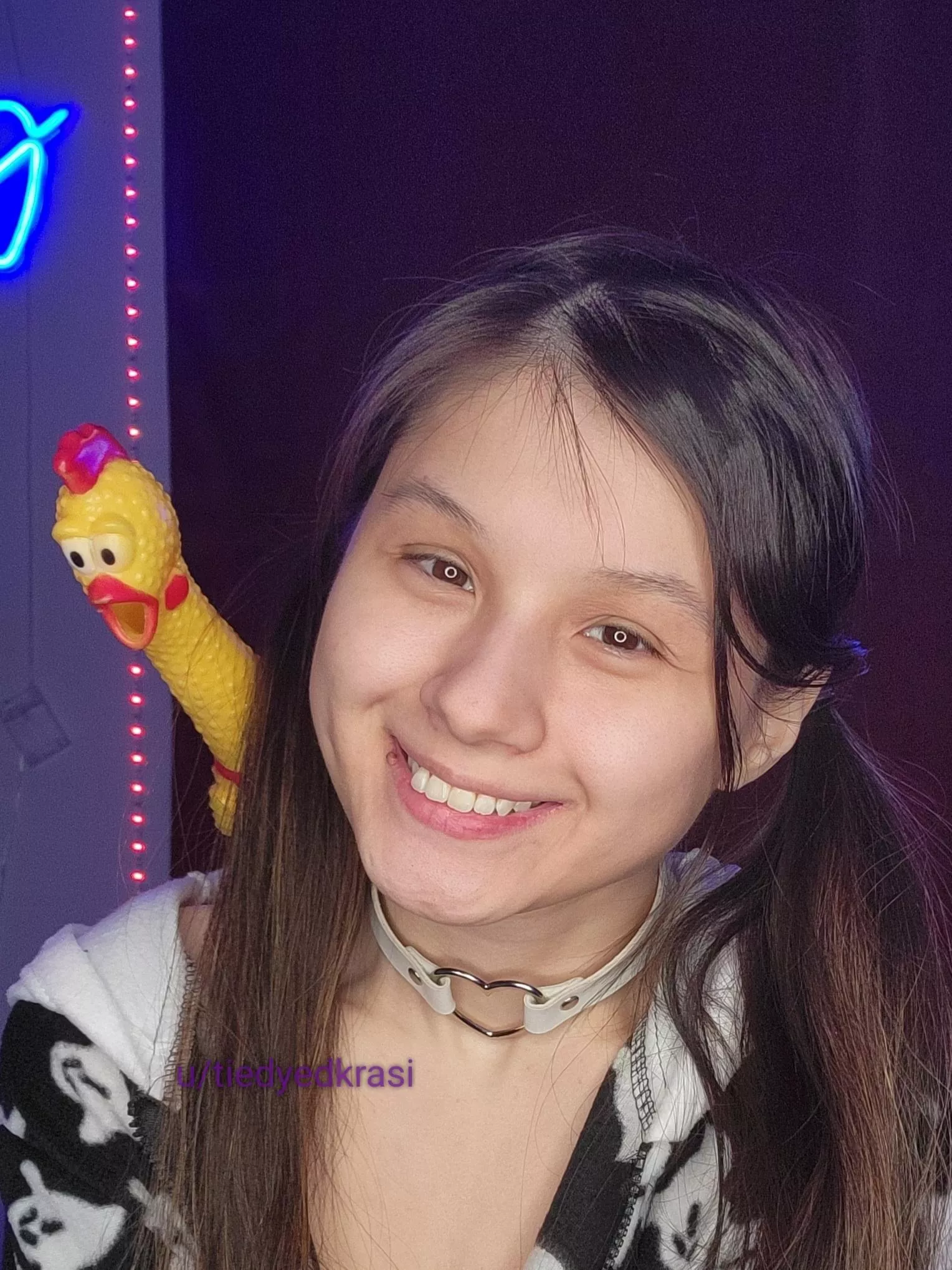 How cute is this collar