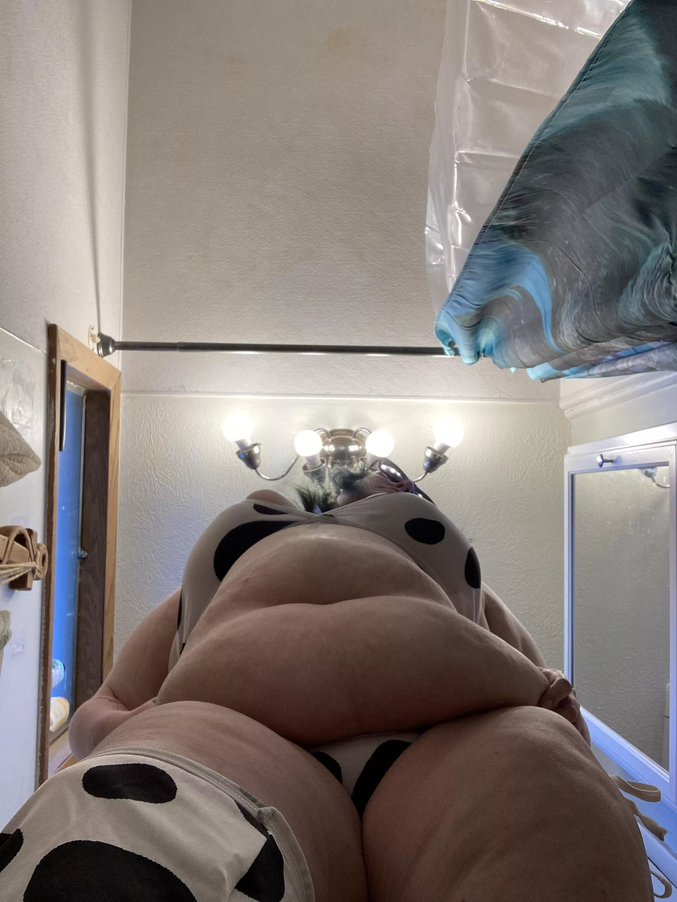 I just love being a cow