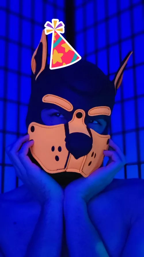 It's mah birthday :DDD 🎉🎉🎉