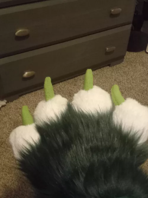 Just from my paw how cute do yall think me is? 🤔