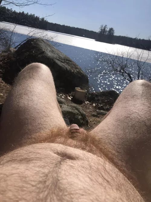 Like my softie in a ginger bush?