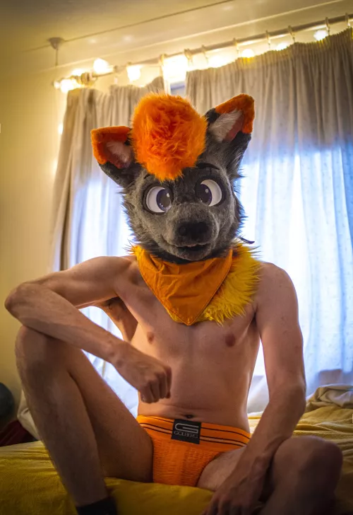 Morning you little sluts