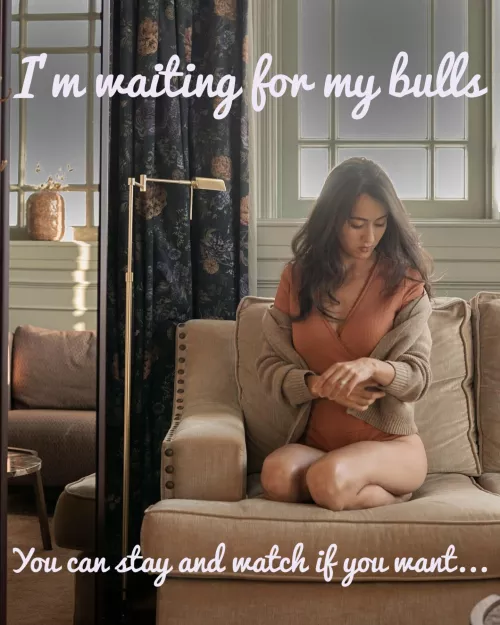 My cousin Safaa wait to be Fuck by BBC