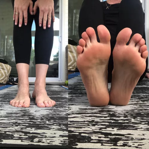 My Little Piggies Went to Market.