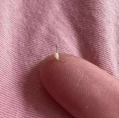 Unfortunately didn’t get the pop on camera because I didn’t realize it’d be juicy but look at this bad boy