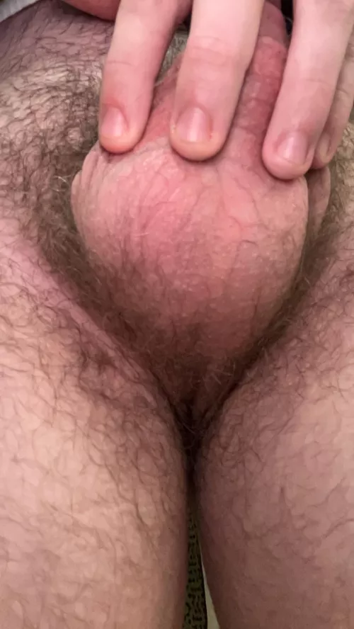 18 m, view from underneath ;) dms always open
