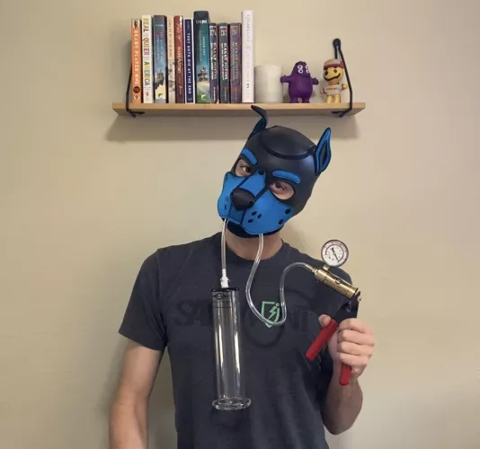 I fetched one of my toys to play with 😈