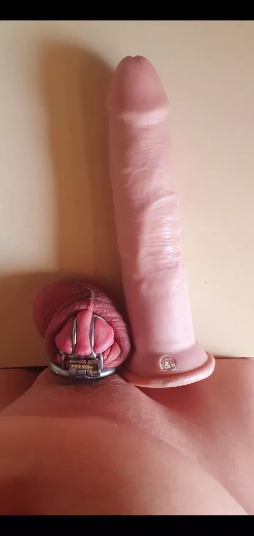 My wife's preferred penis size anything smaller is a waste of her time.