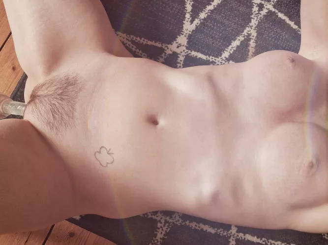 So proud of how my bush is growing!